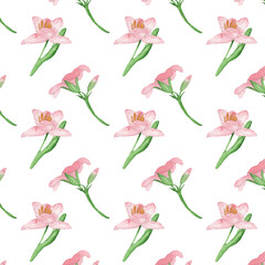 Floral pattern with rose flowers on a white background, hand painted in watercolor.