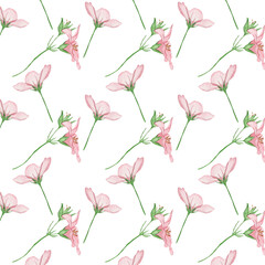 Floral pattern with rose flowers on a white background, hand painted in watercolor.
