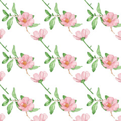 Floral pattern with rose flowers on a white background, hand painted in watercolor.