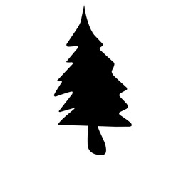Spurce Tree Icon