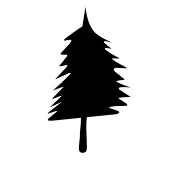 Spurce Tree Icon