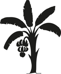 Banana tree illustration © Anna