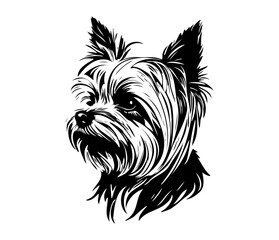 Yorkshire Terrier, Silhouettes Dog Face SVG, black and white Yorkshire Terrier vector