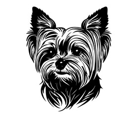 Yorkshire Terrier, Silhouettes Dog Face SVG, black and white Yorkshire Terrier vector