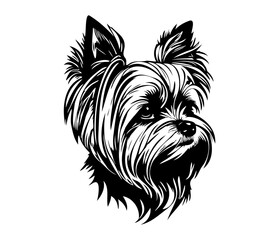 Yorkshire Terrier, Silhouettes Dog Face SVG, black and white Yorkshire Terrier vector
