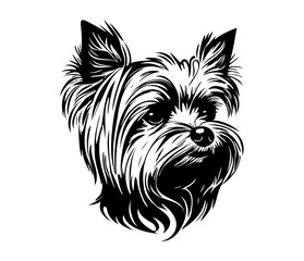 Yorkshire Terrier, Silhouettes Dog Face SVG, black and white Yorkshire Terrier vector
