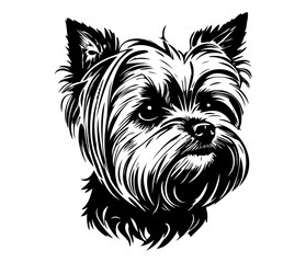 Yorkshire Terrier, Silhouettes Dog Face SVG, black and white Yorkshire Terrier vector