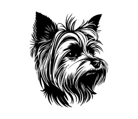 Yorkshire Terrier, Silhouettes Dog Face SVG, black and white Yorkshire Terrier vector