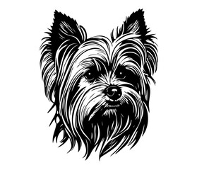 Yorkshire Terrier, Silhouettes Dog Face SVG, black and white Yorkshire Terrier vector