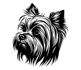 Yorkshire Terrier, Silhouettes Dog Face SVG, black and white Yorkshire Terrier vector
