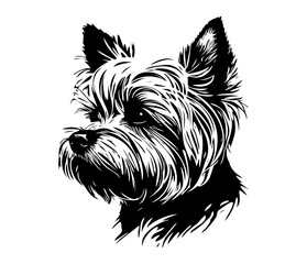 Yorkshire Terrier, Silhouettes Dog Face SVG, black and white Yorkshire Terrier vector