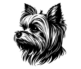 Yorkshire Terrier, Silhouettes Dog Face SVG, black and white Yorkshire Terrier vector
