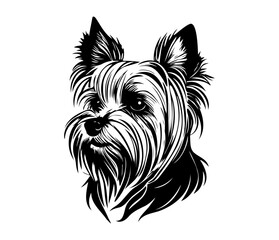Yorkshire Terrier, Silhouettes Dog Face SVG, black and white Yorkshire Terrier vector