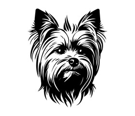 Yorkshire Terrier, Silhouettes Dog Face SVG, black and white Yorkshire Terrier vector - obrazy, fototapety, plakaty