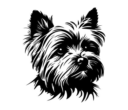 23 Yankee Terrier Images, Stock Photos, 3D objects, & Vectors