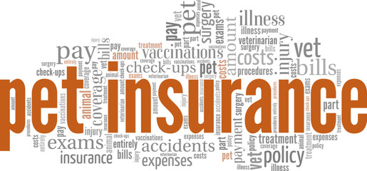 Fototapeta premium Pet Insurance word cloud conceptual design isolated on white background.