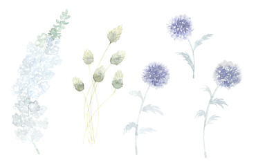 Set of Wild Flowers. Watercolor Illustration.