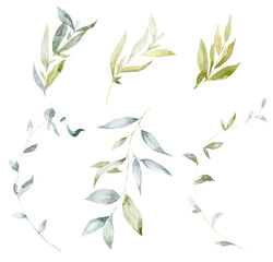 Set of green Tree Branches. Watercolor Illustration. - 591236313