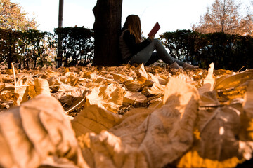 expanse of autumn colored leaves. serene, relaxing atmosphere. the leaves are blown up by the wind. there is a girl in the background.