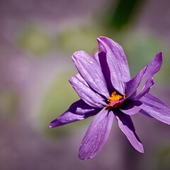 Fototapeta premium Flower. Generative AI.