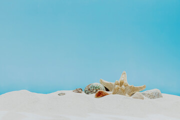 Fototapeta na wymiar Vacation, beach, travel, relaxation concept. Symbolic background with beach sand, different colorful shells, blue sky, clouds, sea or ocean on back. Minimalism. Copy space for business advertisement