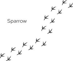 Fototapeta premium Vector black bird paw steps road isolated on white background