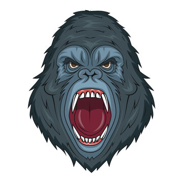 Gorilla. Vector illustration of primates. Evil gorilla head
