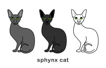 Sphinx cat. Flat style. The concept of a pet store, animal shelter. Vector, illustration