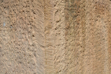 Textura de piedra