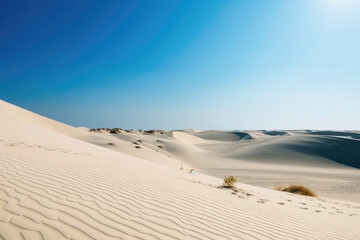 Beautiful desert landscape of a white sand beach, with desert plants and a beautiful clear blue sky. Generative AI