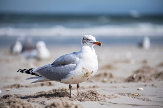 Close-up shot of a seagull on a sandy beach. Generative AI