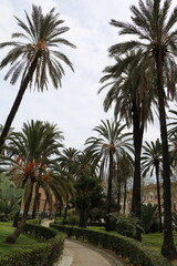 Fototapeta na wymiar Park at Via Vittorio Emanuele in Palermo, Sicily Italy 