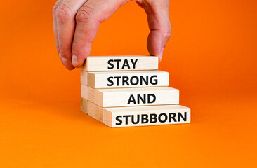 Stay strong and stubborn symbol. Concept words Stay strong and stubborn on wooden block. Beautiful orange table orange background. Motivational business stay strong and stubborn concept. Copy space.
