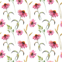 Watercolor seamless pattern with echinacea flowers and field herbs, drawing by watercolor, hand drawn floral illustration, isolated on black background, herbal ornament. - obrazy, fototapety, plakaty