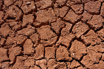 brown mineral background from the sahara roses