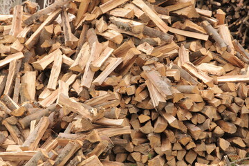 Split dry firewood ready for winter