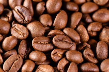 Macro photography of coffee beans