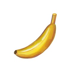 yellow bright ripe banana - digital food illustration on white background