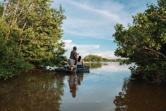 Paisaje de un manglar con un peque&ntilde;o grupo de personas en una barca.