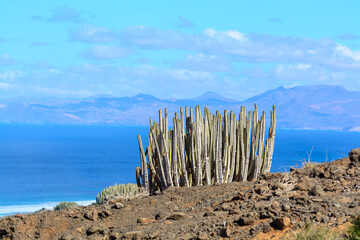 View on difficult to access golden sandy Cofete beach hidden behind mountain range on Fuerteventura, Canary islands, Spain