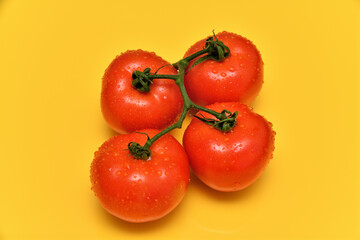 Red tomato on glossy yellow background