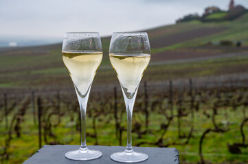 Tasting of brut champagne sparkling wine outdoor with view on pinot noir gran cru vineyards of famous champagne houses in Montagne de Reims near Verzenay, Champagne, France