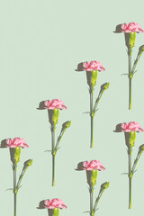 Pink carnation pattern on a green background with copy space