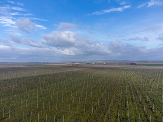 Fototapeta premium Aerial panoramic winter view on valley landscape, vineyards near Ludes premier cru champagne village, wine production in France