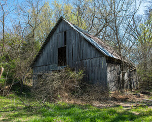 Fototapeta premium Old Abandoned Barn in the woods