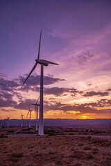 Atardecer en los molinos de viento de Barracas