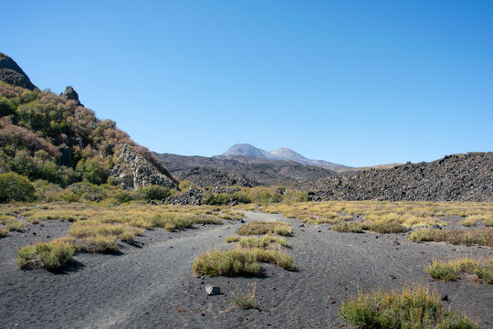 landscape of a stone path with a view of the mountains in the cordillera