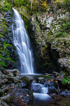 beautiful waterfall with tree