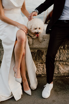 couple on the beach eith dog on their wedding day bride and groom watching sunset dress white sparkly