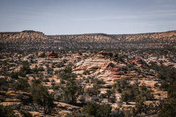 Fototapeta na wymiar Beautiful desert landscape near Goblin Valley Utah with red sandstone rock formations and pine trees